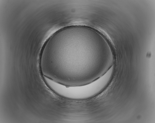 X0000094081277200711091206