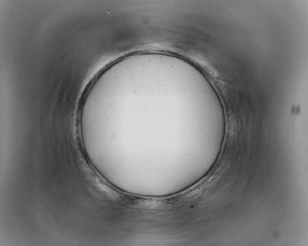 X0000094081278200711091206