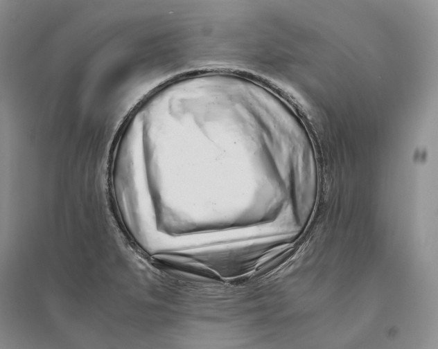 X0000094081279200711091206