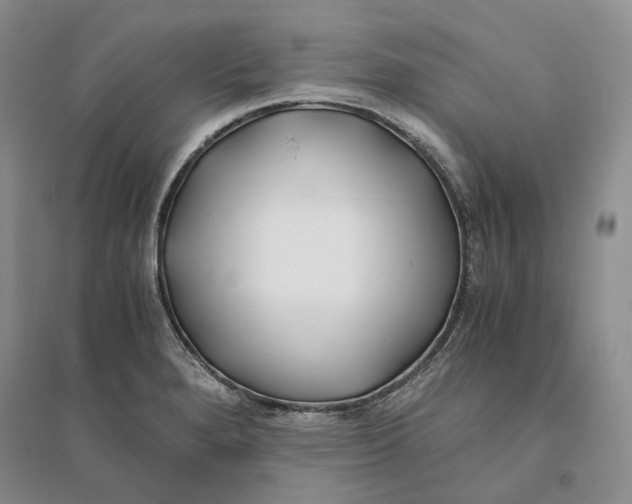 X0000094081280200711091206