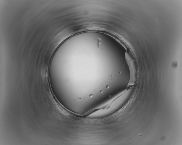X0000094081281200711091206