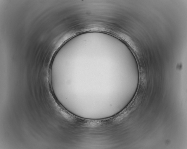 X0000094081282200711091206