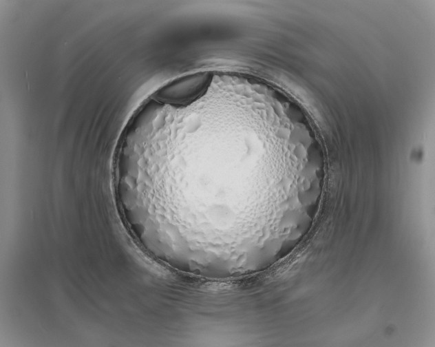 X0000094081283200711091206