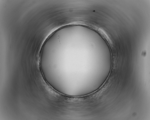 X0000094081284200711091206