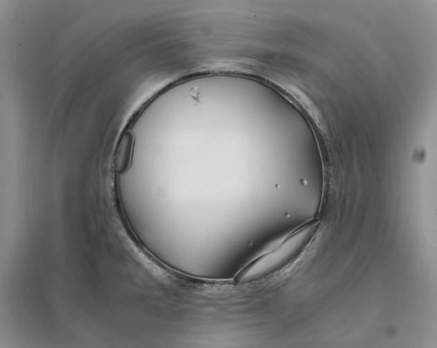 X0000094081285200711091206