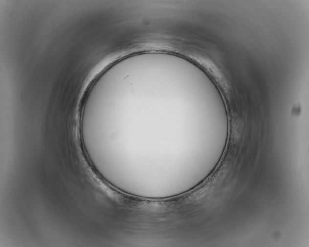 X0000094081286200711091206