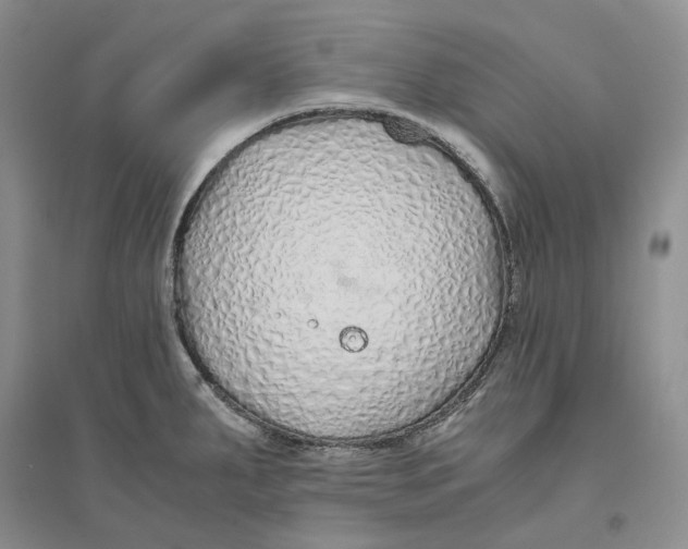 X0000094081287200711091206