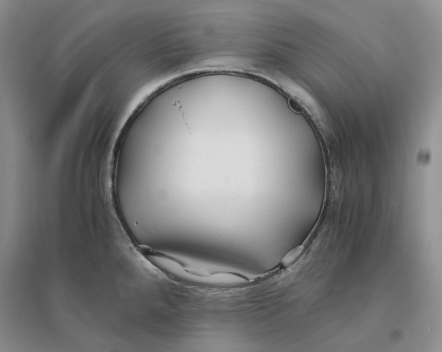 X0000094081288200711091206