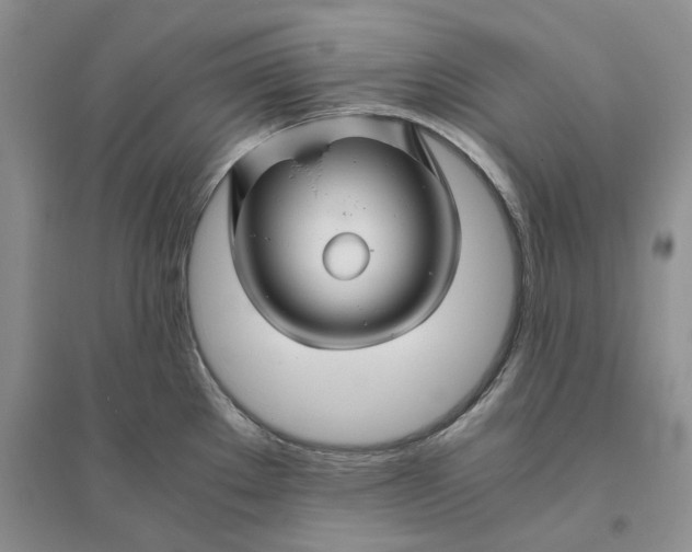 X0000094081289200711091206