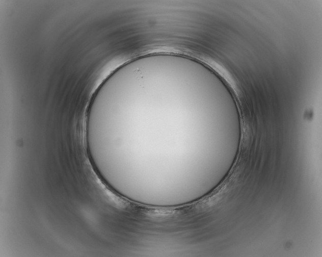 X0000094081290200711091206