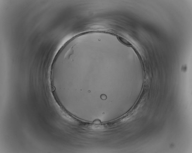 X0000094081291200711091206