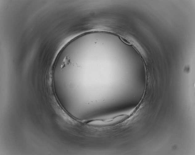 X0000094081292200711091206