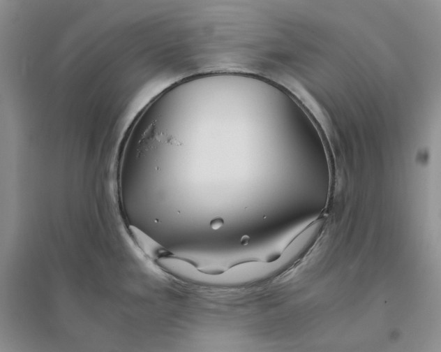 X0000094081293200711091206