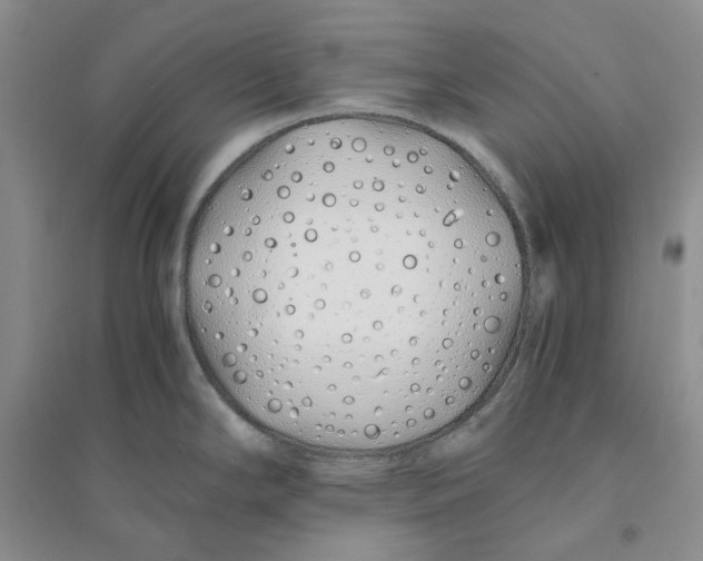 X0000094081294200711091206