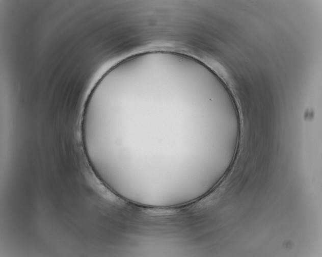 X0000094081296200711091206