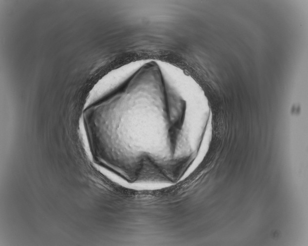 X0000094081297200711091206