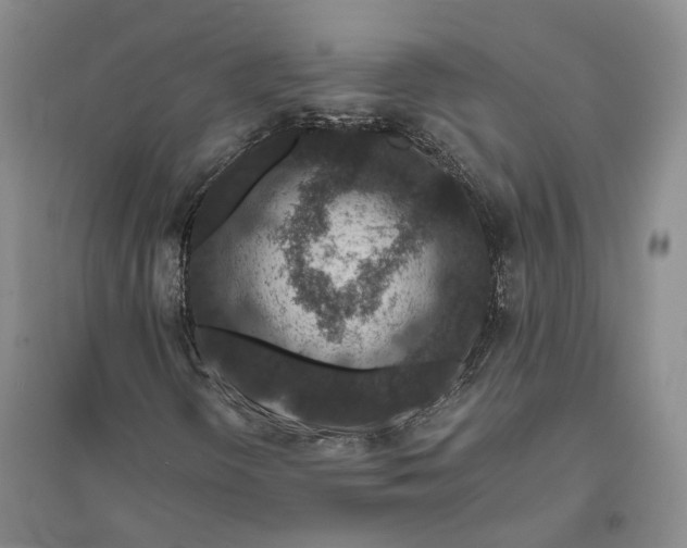 X0000094081298200711091206