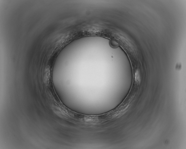 X0000094081299200711091206