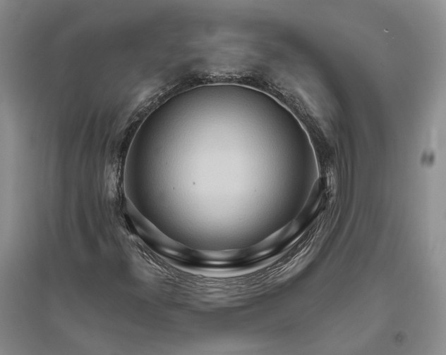 X0000094081300200711091206