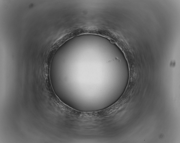 X0000094081301200711091206