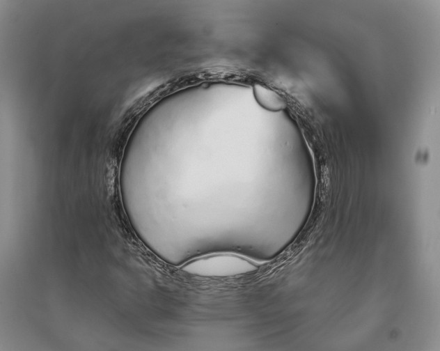 X0000094081302200711091206