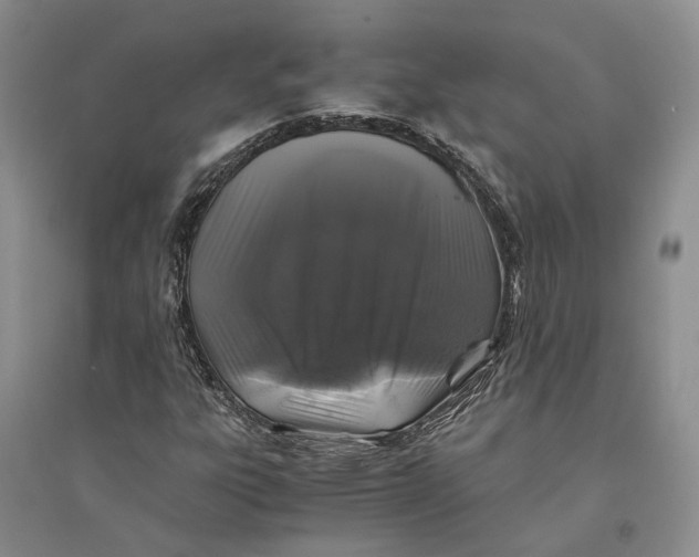 X0000094081303200711091206