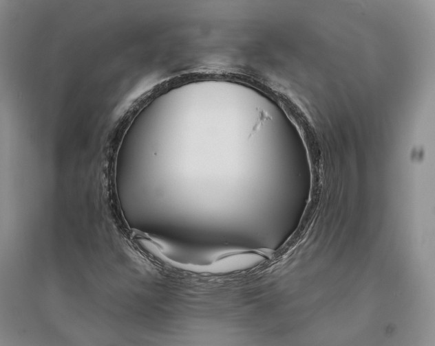 X0000094081304200711091206