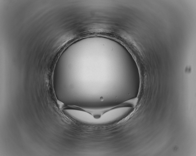 X0000094081305200711091206