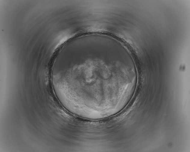 X0000094081306200711091206