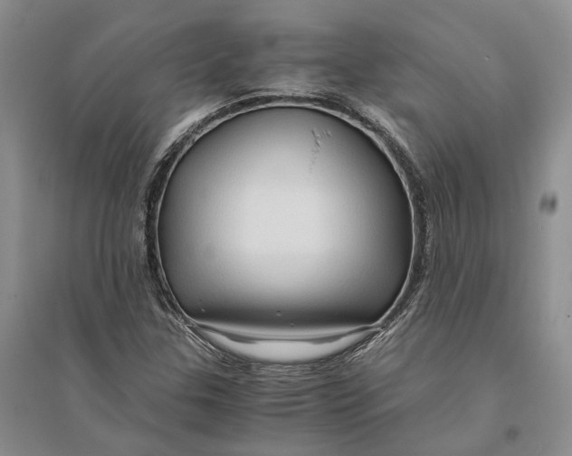 X0000094081307200711091206
