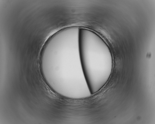 X0000094081308200711091206