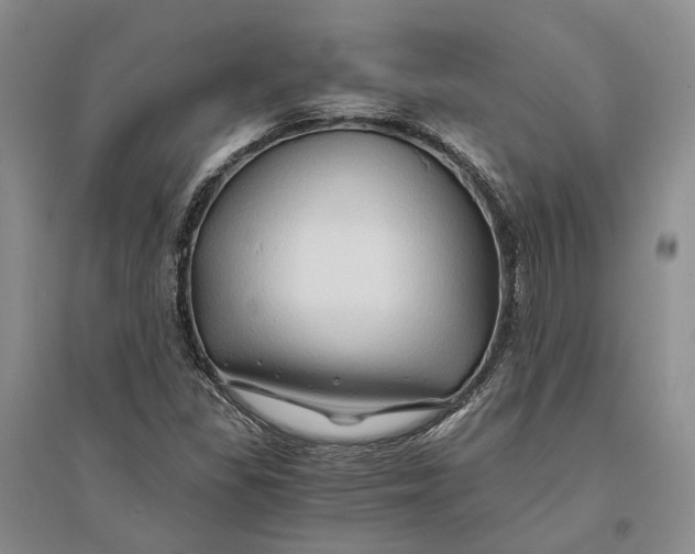 X0000094081309200711091206