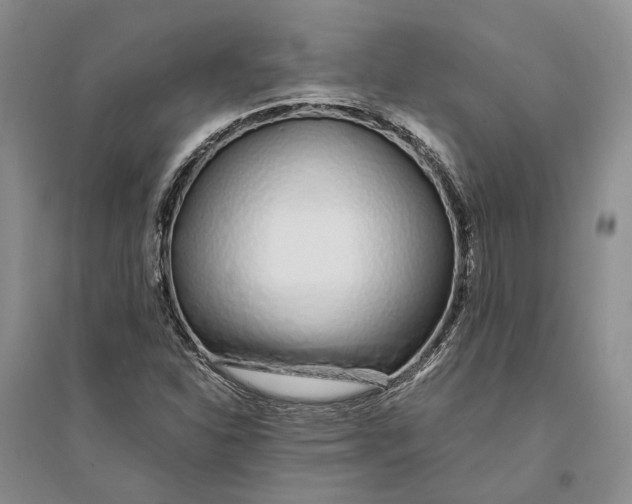 X0000094081310200711091206