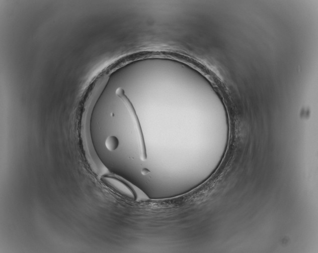 X0000094081311200711091206