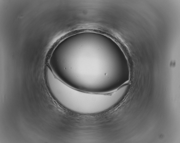 X0000094081312200711091206