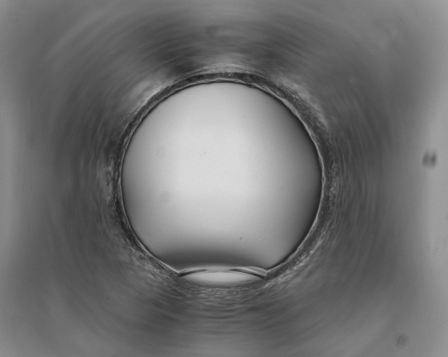 X0000094081313200711091206