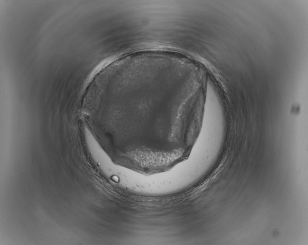 X0000094081314200711091206