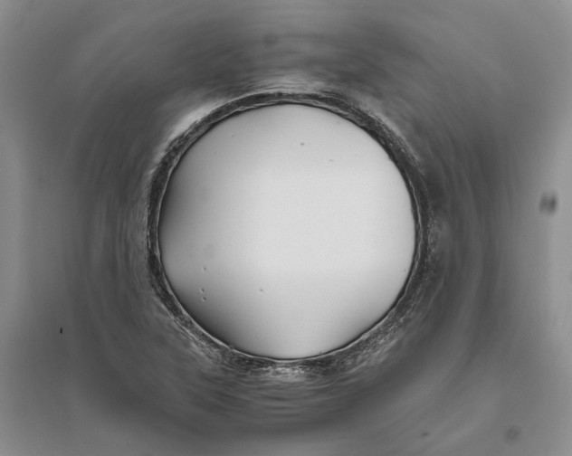 X0000094081315200711091206