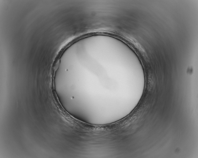 X0000094081316200711091206