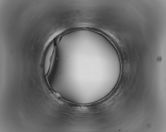 X0000094081317200711091206