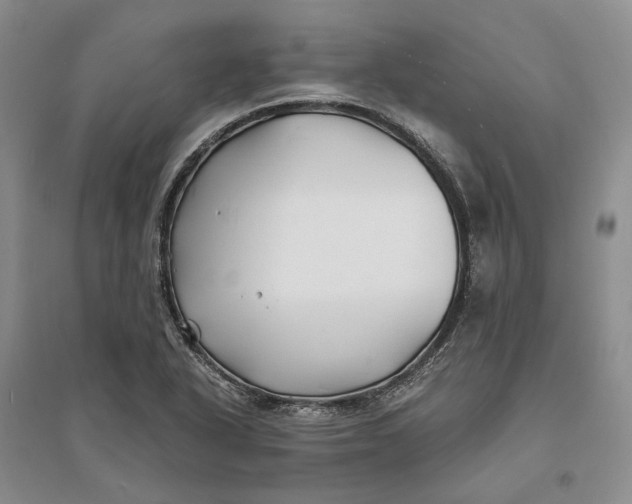 X0000094081318200711091206