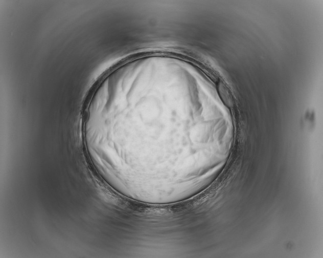 X0000094081320200711091206