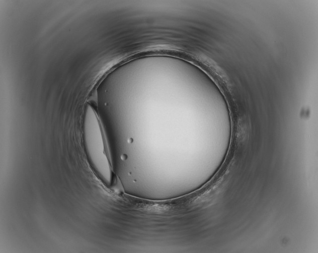X0000094081321200711091206