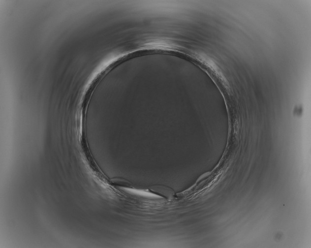 X0000094081323200711091206