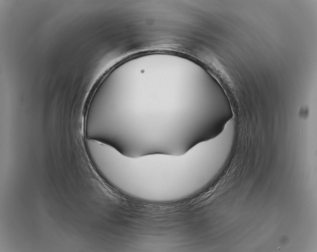 X0000094081324200711091206