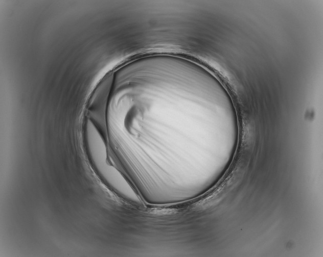 X0000094081325200711091206