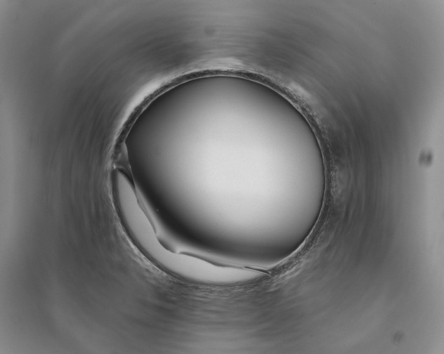 X0000094081326200711091206