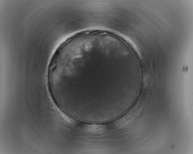 X0000094081327200711091206
