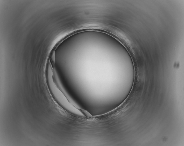 X0000094081328200711091206