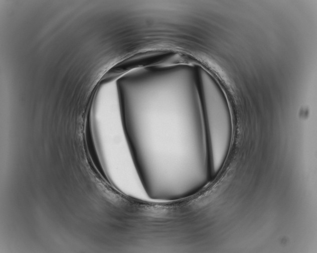 X0000094081329200711091206